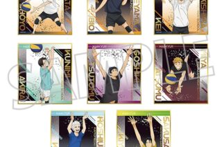 ハイキュー!! ミニ色紙コレクション
 
2025年7月26日発売
で取扱中