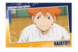 ハイキュー!! スタパネ ミニ vol.7　2
 アニメイトで
2025年07月発売