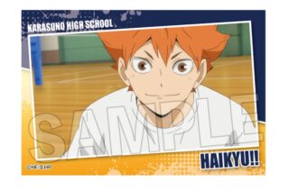 ハイキュー!! スタパネ ミニ vol.7　2
 アニメイトで
2025年07月発売