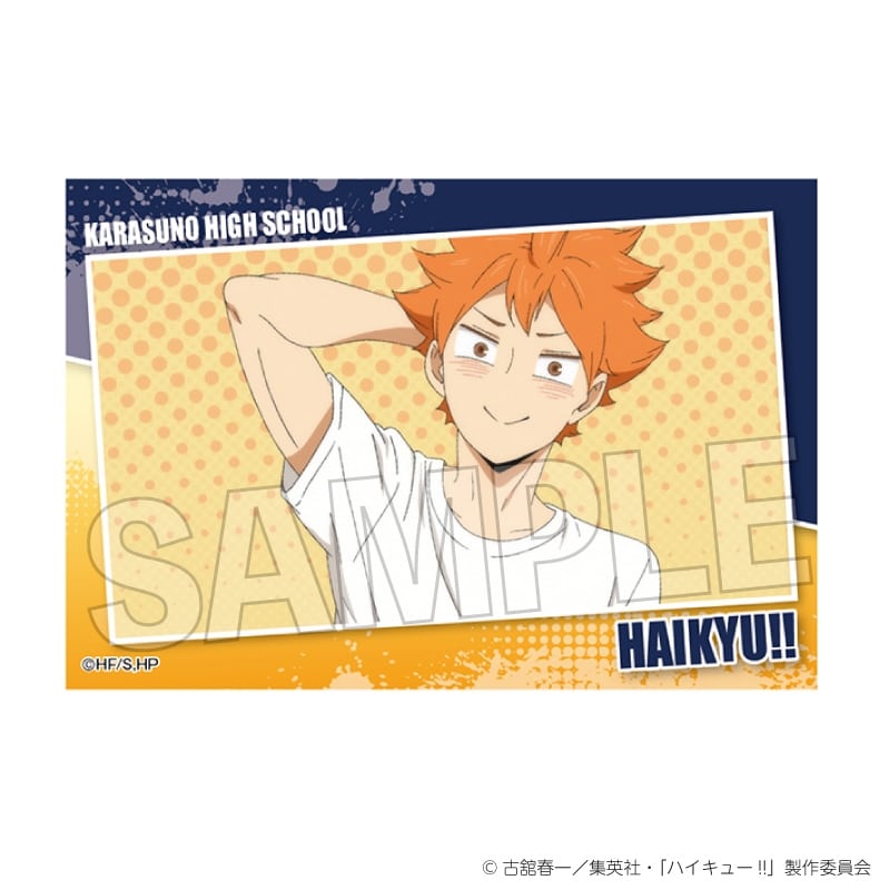 ハイキュー!! スタパネ ミニ vol.7　1
 アニメイトで
2025年07月発売