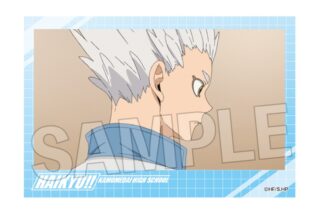 ハイキュー!! 積み積みブロック vol.7　29
 アニメイトで
2025年07月発売