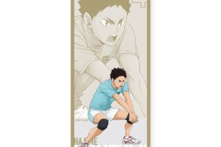 ハイキュー!! ロングタオル 岩泉 一 ～レシーブ～
 
2025年09月下旬発売