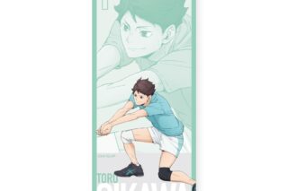 ハイキュー!! ロングタオル 及川 徹 ～レシーブ～
 
2025年09月下旬発売