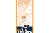 ハイキュー!! ロングタオル 日向翔陽 ～レシーブ～
 
2025年09月下旬発売