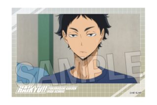 ハイキュー!! 積み積みブロック vol.7　21
 アニメイトで
2025年07月発売