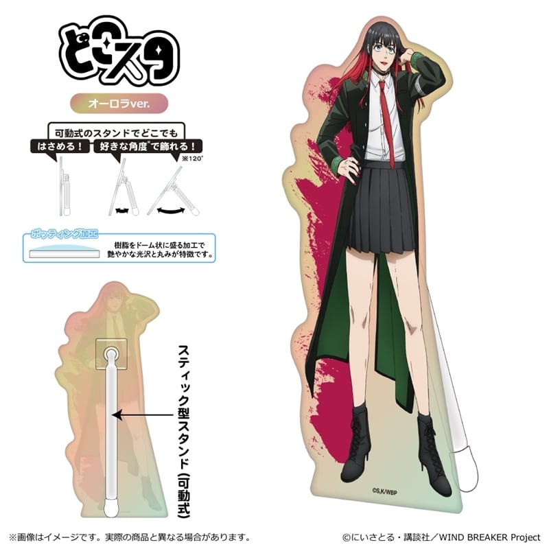 ウィンドブレイカー (ウィンブレ) Season 2 どこスタ(オーロラver.)/椿野 佑
 
2025年08月下旬発売