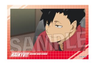 ハイキュー!! 積み積みブロック vol.7　15
 アニメイトで
2025年07月発売
