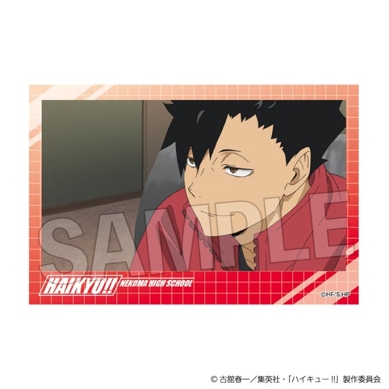 ハイキュー!! 積み積みブロック vol.7　15
 アニメイトで
2025年07月発売