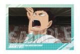 ハイキュー!! 積み積みブロック vol.7　14
 アニメイトで
2025年07月発売