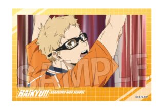 ハイキュー!! 積み積みブロック vol.7　10
 アニメイトで
2025年07月発売