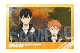 ハイキュー!! 積み積みブロック vol.7　7
 アニメイトで
2025年07月発売