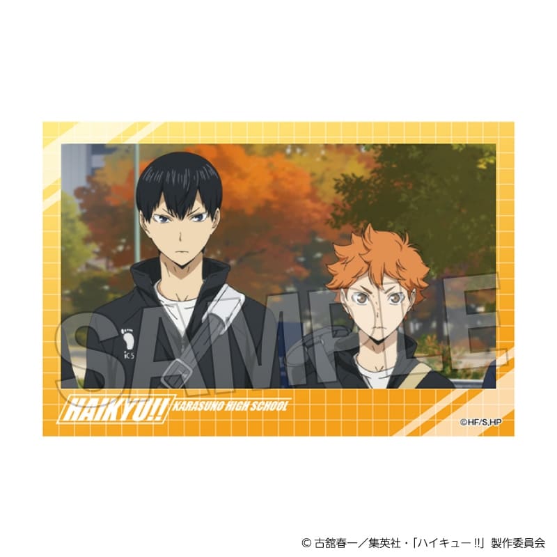 ハイキュー!! 積み積みブロック vol.7　7
 アニメイトで
2025年07月発売