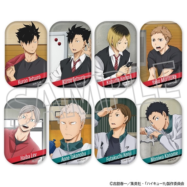 ハイキュー!! スクエア缶バッジコレクション/音駒高校・伊達工業高校
 
2025年5月30日発売