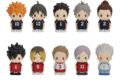 【トレーディングフィギュア】アニメハイキュー!! ぱぺマス!! A
 アニメイトで
2025年07月発売
