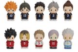 【トレーディングフィギュア】アニメハイキュー!! ぱぺマス!! A
 アニメイトで
2025年07月発売