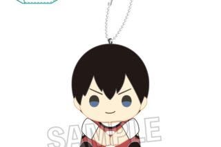 ハイキュー!! 指の上シリーズ ビブスver. 影山飛雄
 
2025年05月発売
で取扱中