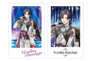 Krisis フォト風カード2枚セット ヴェザリウス バンデージ
 
2025年10月上旬発売