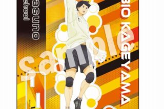 ハイキュー!! TRAINING MENU アクリルスタンドプレート 影山飛雄
 アニメイトで
2025年05月発売