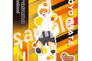 ハイキュー!! TRAINING MENU アクリルスタンドプレート 日向翔陽
 アニメイトで
2025年05月発売