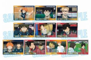 ハイキュー!! トレーディングメモリーズ箔押しフォトカード
 アニメイトで
2025年06月発売