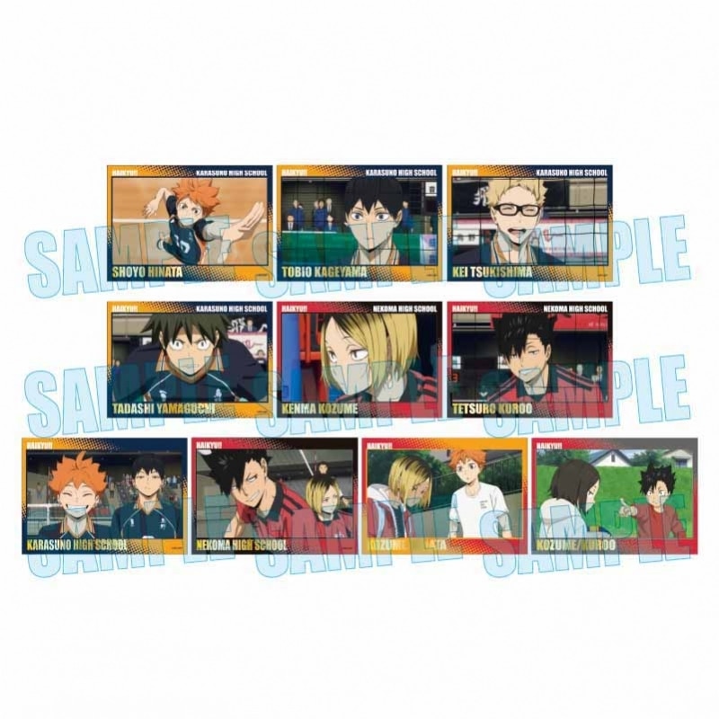 ハイキュー!! トレーディングメモリーズ箔押しフォトカード
 アニメイトで
2025年06月発売