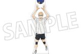 ハイキュー!! アクリルスタンド/月島 蛍
 
2025年7月26日発売