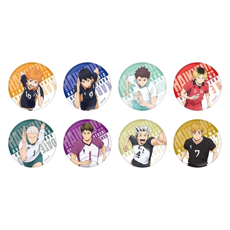 ハイキュー!! TR缶バッジ【全8種】
 
2025年07月上旬発売
で取扱中