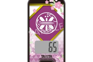 刀剣乱舞ONLINE 3Dセンサー搭載歩数計 刀剣乱舞ONLINEモデル 蜻蛉切
 
2025年4月19日発売