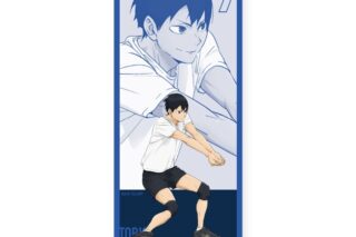 ハイキュー!! ロングタオル 影山飛雄 ～レシーブ～
 
2025年09月下旬発売
で取扱中
