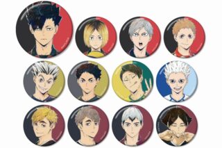 ハイキュー!! トレーディング Ani-Art 第6弾 缶バッジ【再販】
 アニメイトで
2025年6月17日発売