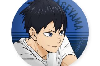 ハイキュー!! ガラスマグネット 影山飛雄 ～レシーブ～
 
2025年09月下旬発売
で取扱中