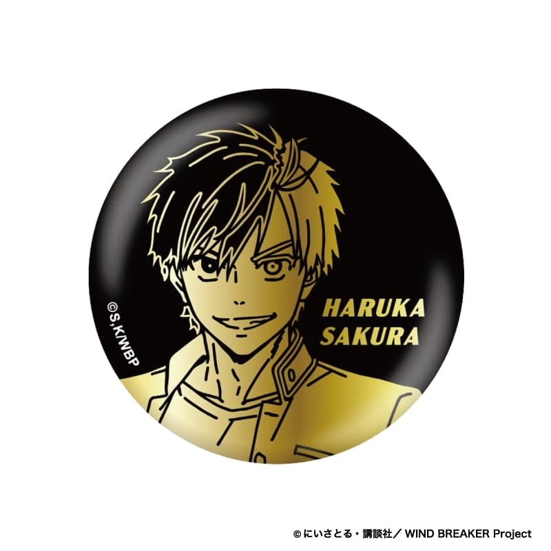 ウィンドブレイカー (ウィンブレ) 箔押し缶バッジ 桜 遥
 
2025年10月中旬発売