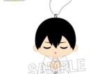 ハイキュー!! 座ぬい お昼寝ver. 影山飛雄
 
2025年10月発売