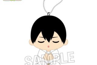 ハイキュー!! 座ぬい お昼寝ver. 影山飛雄
 
2025年10月発売