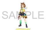 ウマ娘 プリティーダービー アクリルスタンド/vol.14　ジャングルポケット
 
2025年8月22日発売