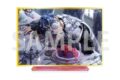 アイドリッシュセブン グループ記念日2024 アクリルスタンド 百
 
2025年10月18日発売