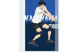 ハイキュー!! アクリルブロック 影山飛雄 ～レシーブ～
 
2025年09月下旬発売
で取扱中