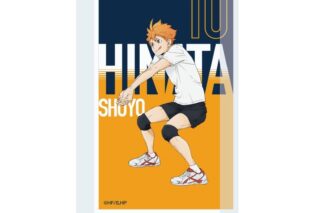 ハイキュー!! アクリルブロック 日向翔陽 ～レシーブ～
 
2025年09月下旬発売
で取扱中