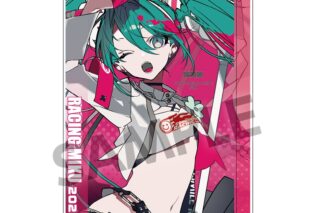 レーシングミク 2025 Rd.0 応援 Ver. アクリルブロック
 
2025年08月発売