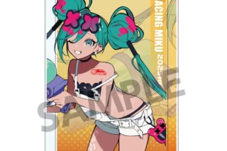 レーシングミク 2025 Rd.3 セパン Ver. アクリルブロック
 
2025年08月発売