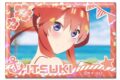 五等分の花嫁* ホログラム缶バッジ デザイン18(中野五月/B)【再販】
 
2025年08月上旬発売
で取扱中 (アニメイト)