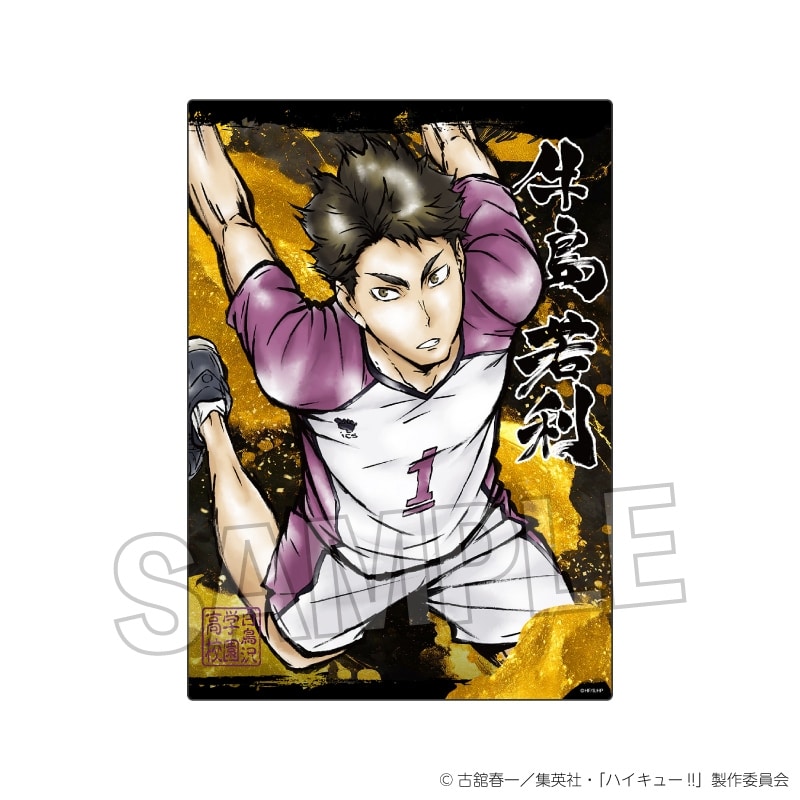 ハイキュ―!! 激闘!!メタルパネル 牛島若利
 アニメイトで
2025年04月発売