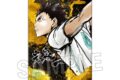 ハイキュ―!! 激闘!!メタルパネル 岩泉 一
 アニメイトで
2025年04月発売