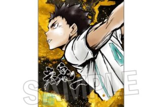 ハイキュ―!! 激闘!!メタルパネル 岩泉 一
 アニメイトで
2025年04月発売