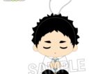 ハイキュー!! 座ぬい お昼寝ver. 赤葦京治
 
2025年10月発売