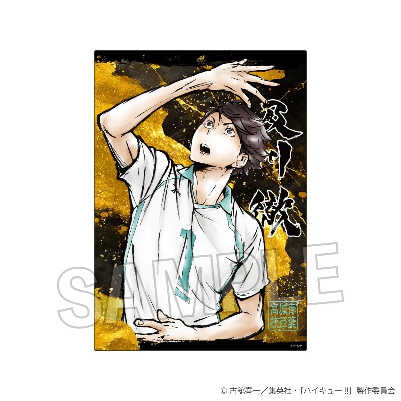 ハイキュ―!! 激闘!!メタルパネル 及川 徹
 アニメイトで
2025年04月発売