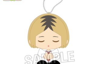 ハイキュー!! 座ぬい お昼寝ver. 孤爪研磨
 
2025年10月発売
