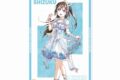 ラブライブ! ニジガク 桜坂しずく Ani-Art 第2弾 A3マット加工ポスター
 
2025年10月17日発売
