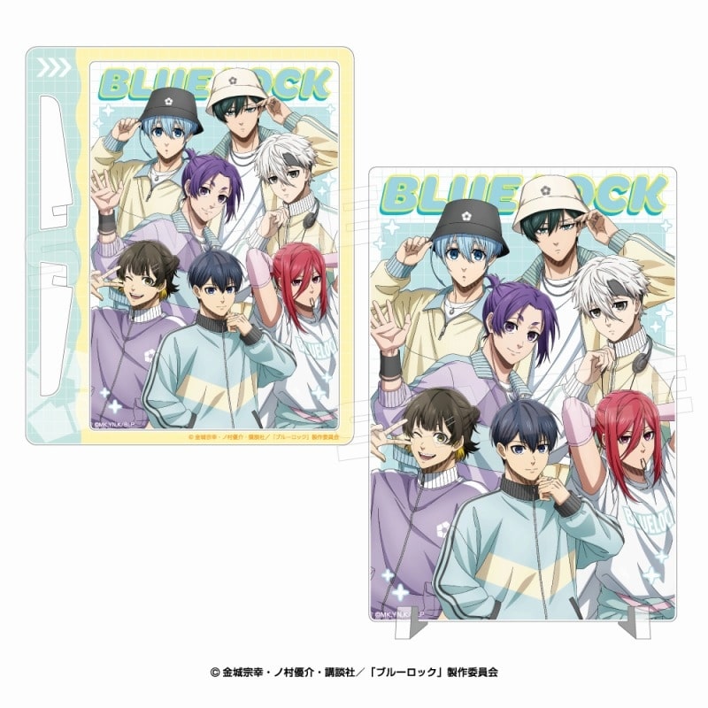 [アニメイト]ブルーロック アクリルイーゼルパネル(パステルウェア)
 
2025年08月上旬発売