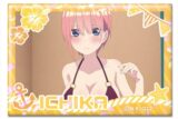 五等分の花嫁* ホログラム缶バッジ デザイン02(中野一花/B)【再販】
 
2025年08月上旬発売
で取扱中 (アニメイト)